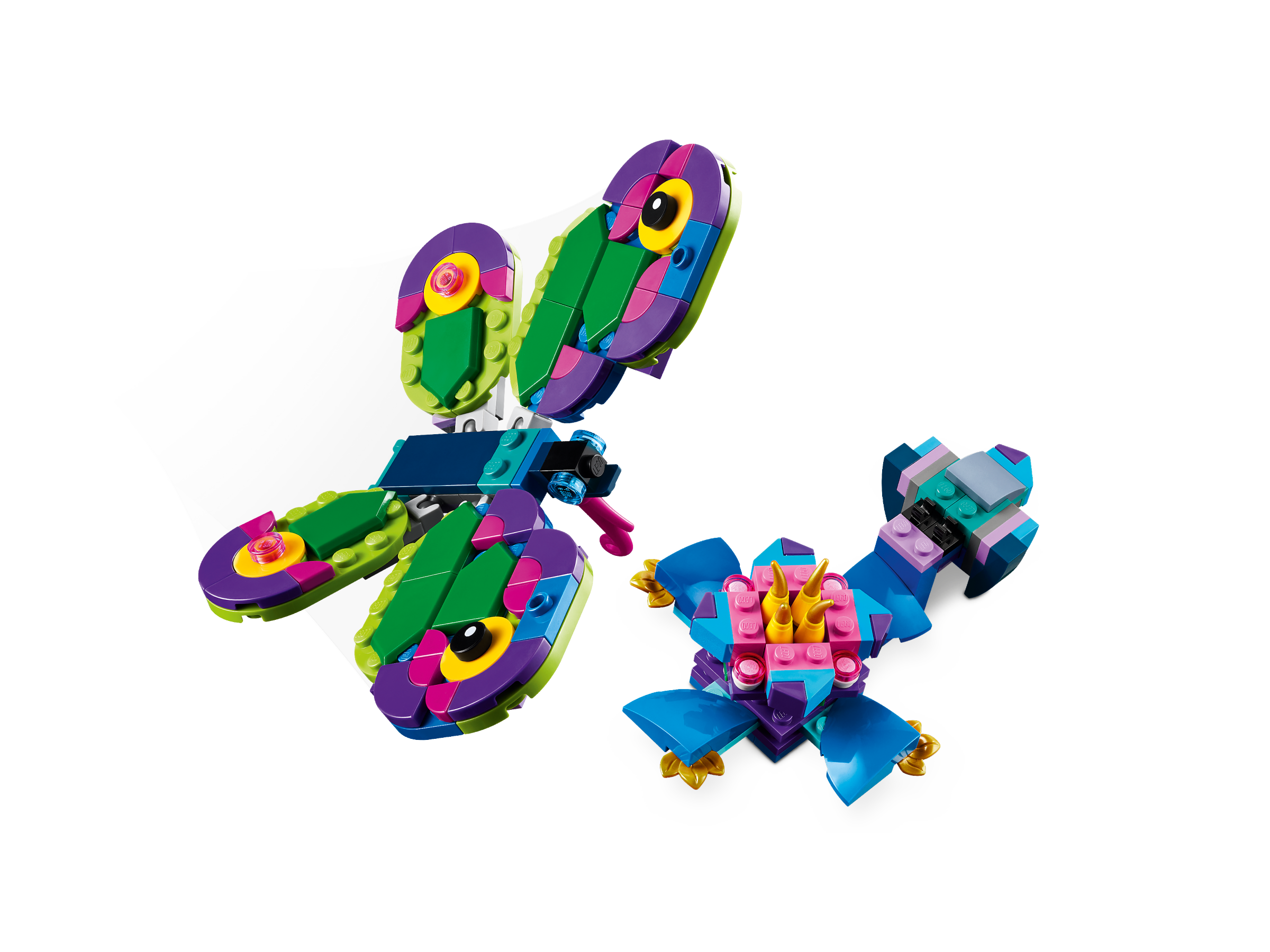 Exotischer Pfau 31157