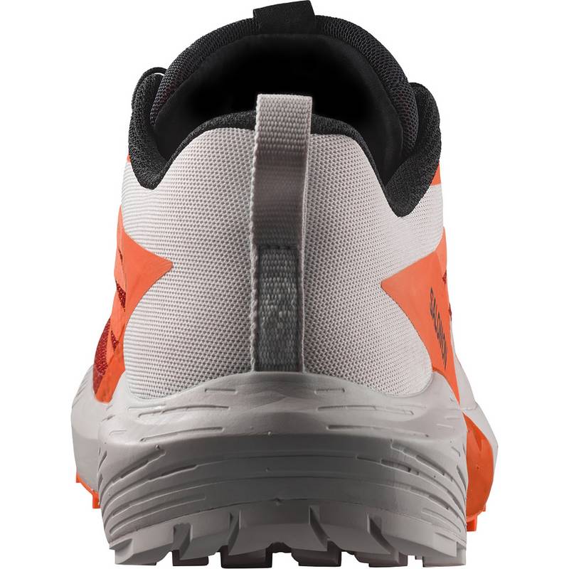 Salomon SENSE RIDE 5 Laufschuhe Herren