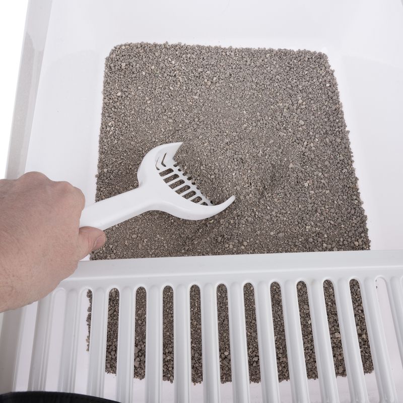 TIAKI Schalentoilette Dusty zu TOP-Preisen