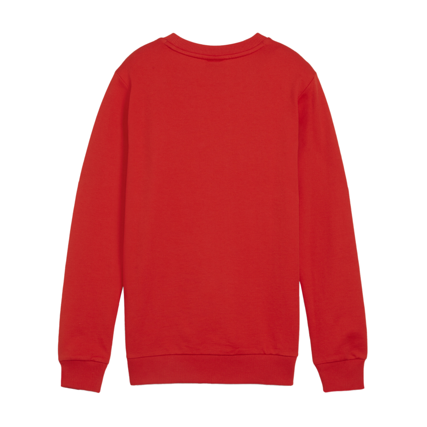 PUMA teamGOAL Casuals Sweatshirt Kids Rpt F01