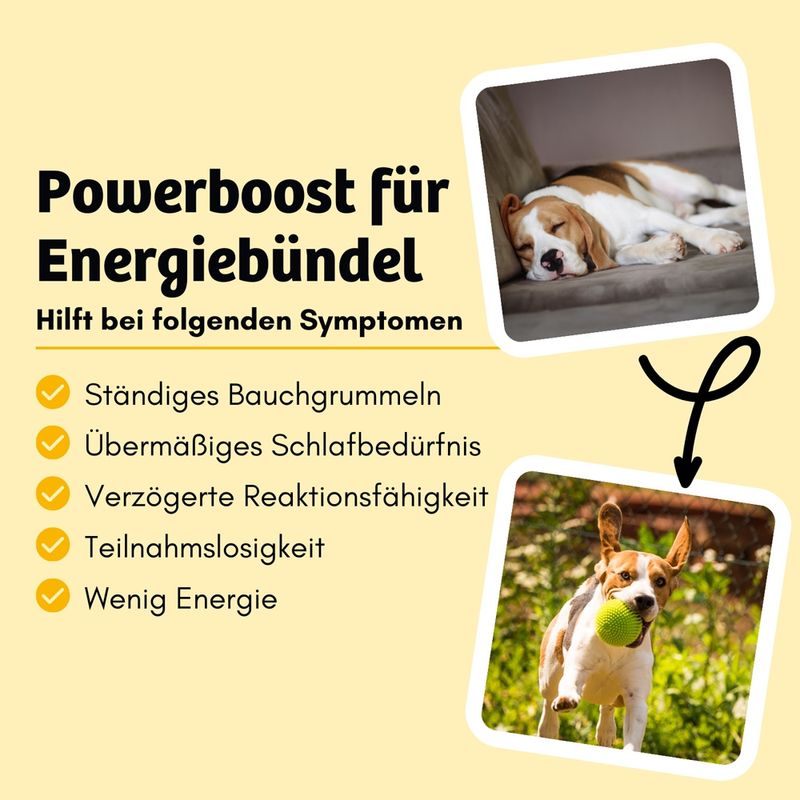 BugBell BugKeks Adult Insekten, Banane und Chiasamen