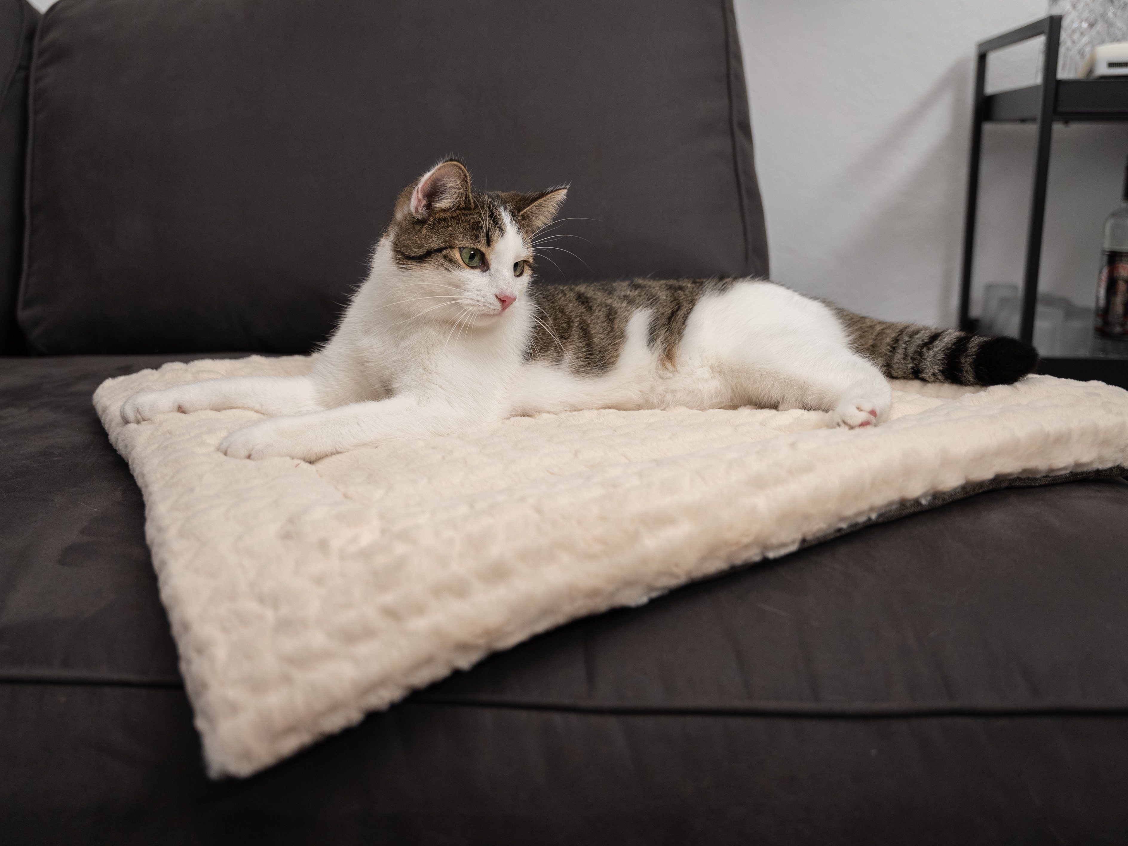 TrendPet Tierdecke Hundedecke 