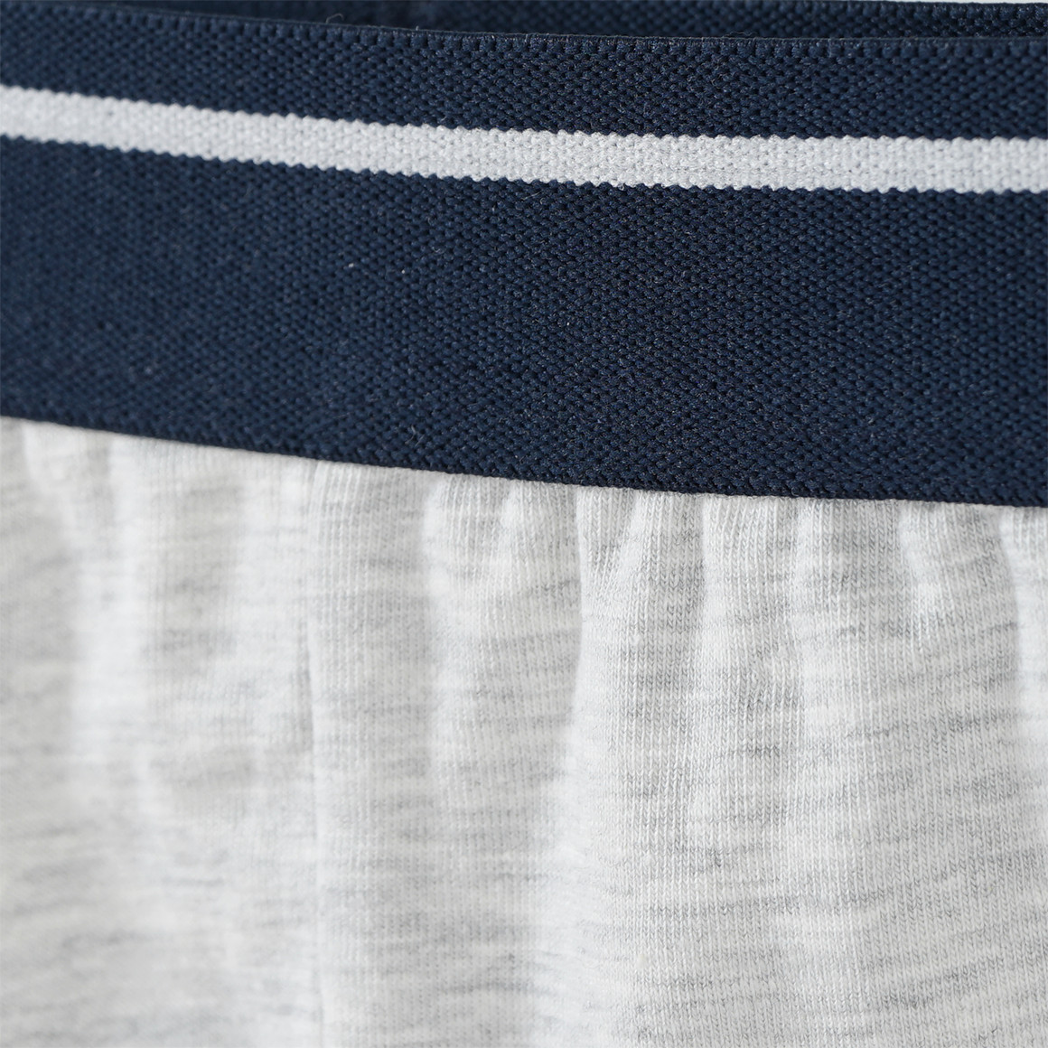 2 Jungen Boxer mit Dino-Motiv