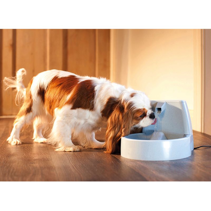 PetSafe Drinkwell Original Trinkbrunnen zu TOP-Preisen | bitiba