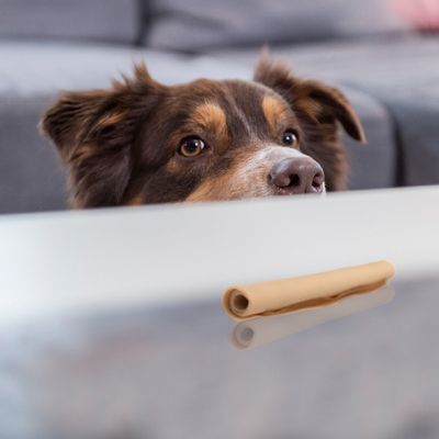 SmartSticks Wrapped Kausticks Huhn