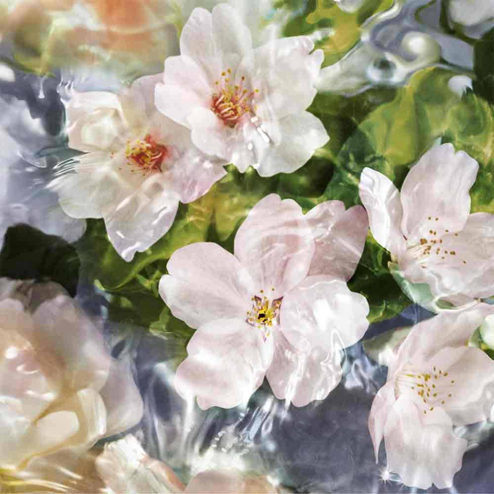 Guerlain Aqua Allegoria Flora Cherrysia Eau de Toilette Spray