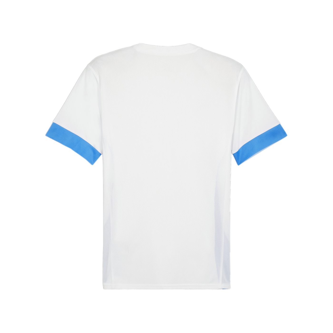 PUMA teamGOAL Matchday Trikot Weiss Blau F12