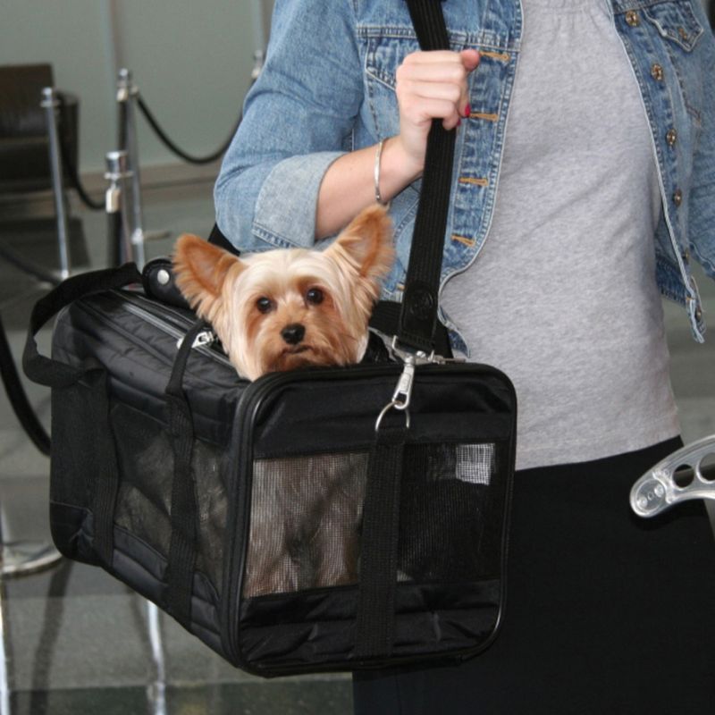 Sherpa Original Deluxe Pet Carrier zu TOP-Preisen