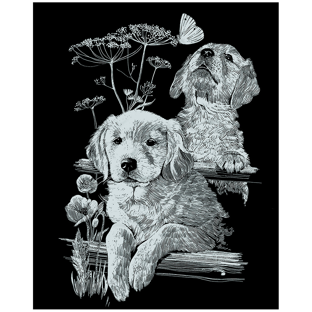 Kratzbild Scraper Labrador, silber