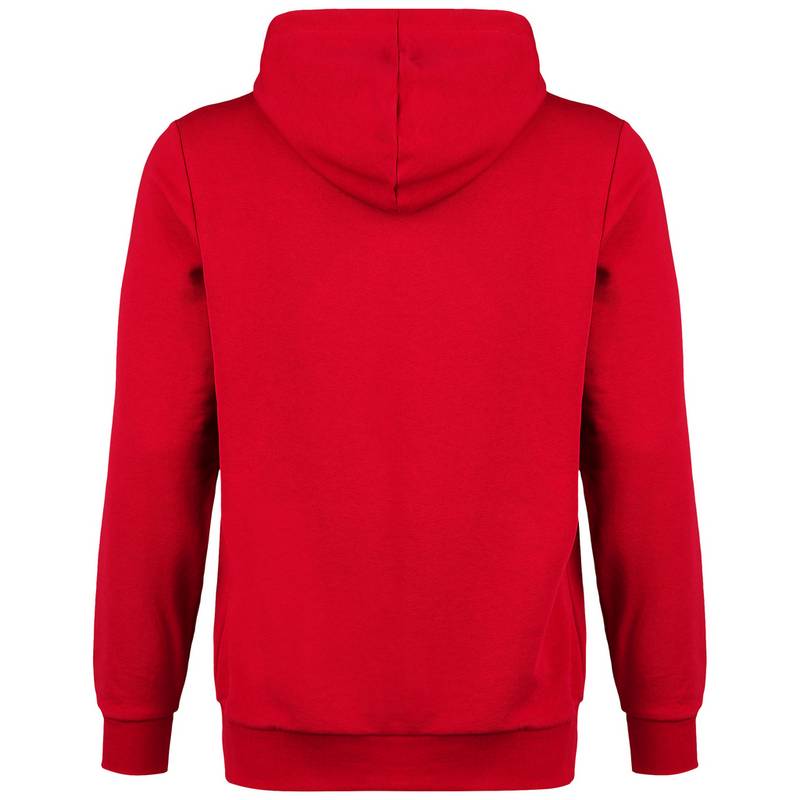 PUMA TeamGoal 23 Casuals Hoodie Herren