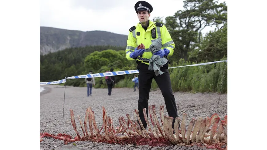 Loch Ness / Die komplette 6-teilige Krimiserie im Stil von „Broadchurch“ [2 DVDs]