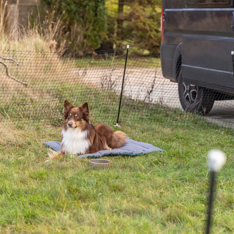 Trixie Mobiler Hundezaun zu TOP-Preisen