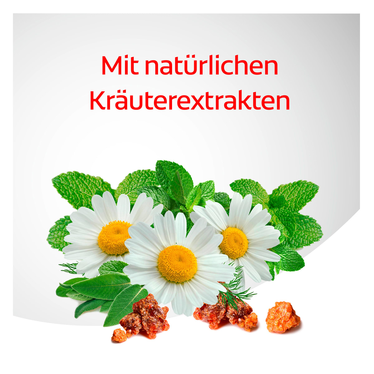 Zahnpasta Kräuter, 75 ml