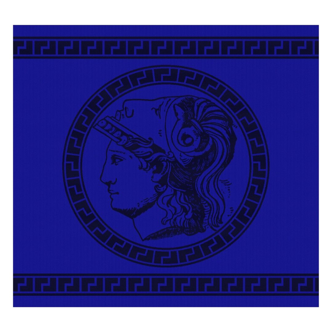 DDDDD Minerva 60 x 65 cm 6er-Set Geschirrtüchern