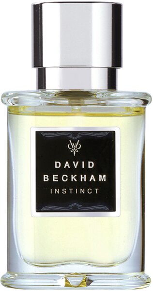 David Beckham Instinct Eau de Toilette