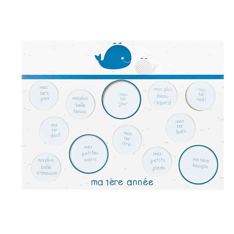 Pèle-mêle photos Blue baleine