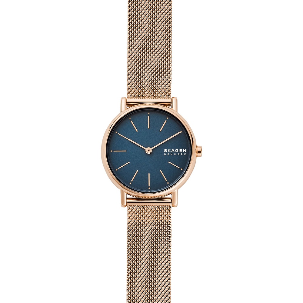 Skagen Montre pour femme Acier inoxydable Montre