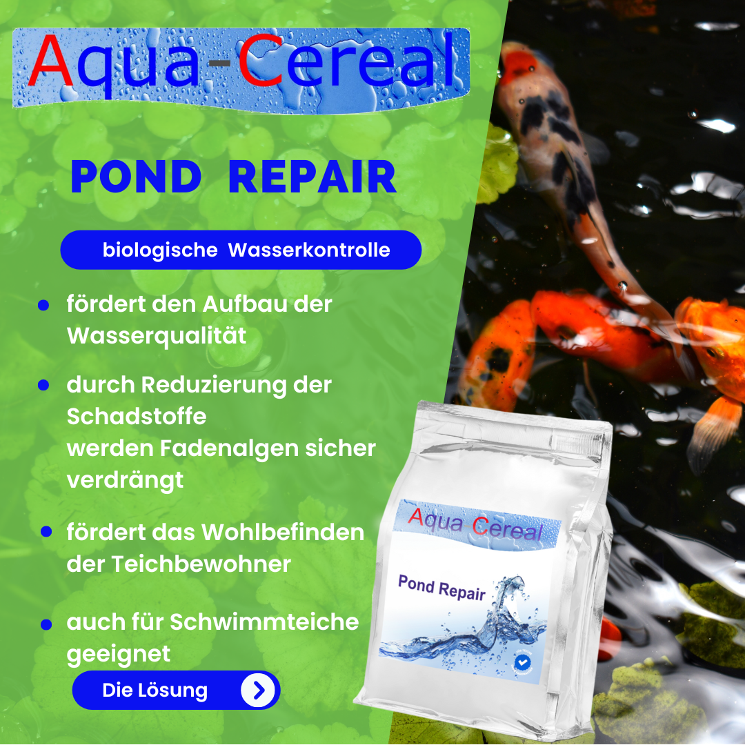 Aqua-Cereal Algenbekämpfung Aqua-Cereal Pond Repair 1kg