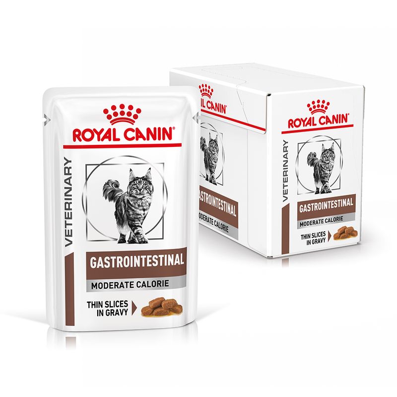 Royal Canin Veterinary Feline Gastrointestinal Moderate Calorie