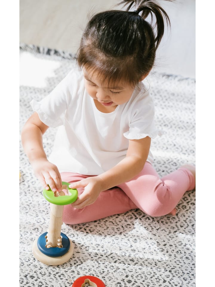 Plan Toys Twist & Sort ab 24 Monate günstig kaufen onesize