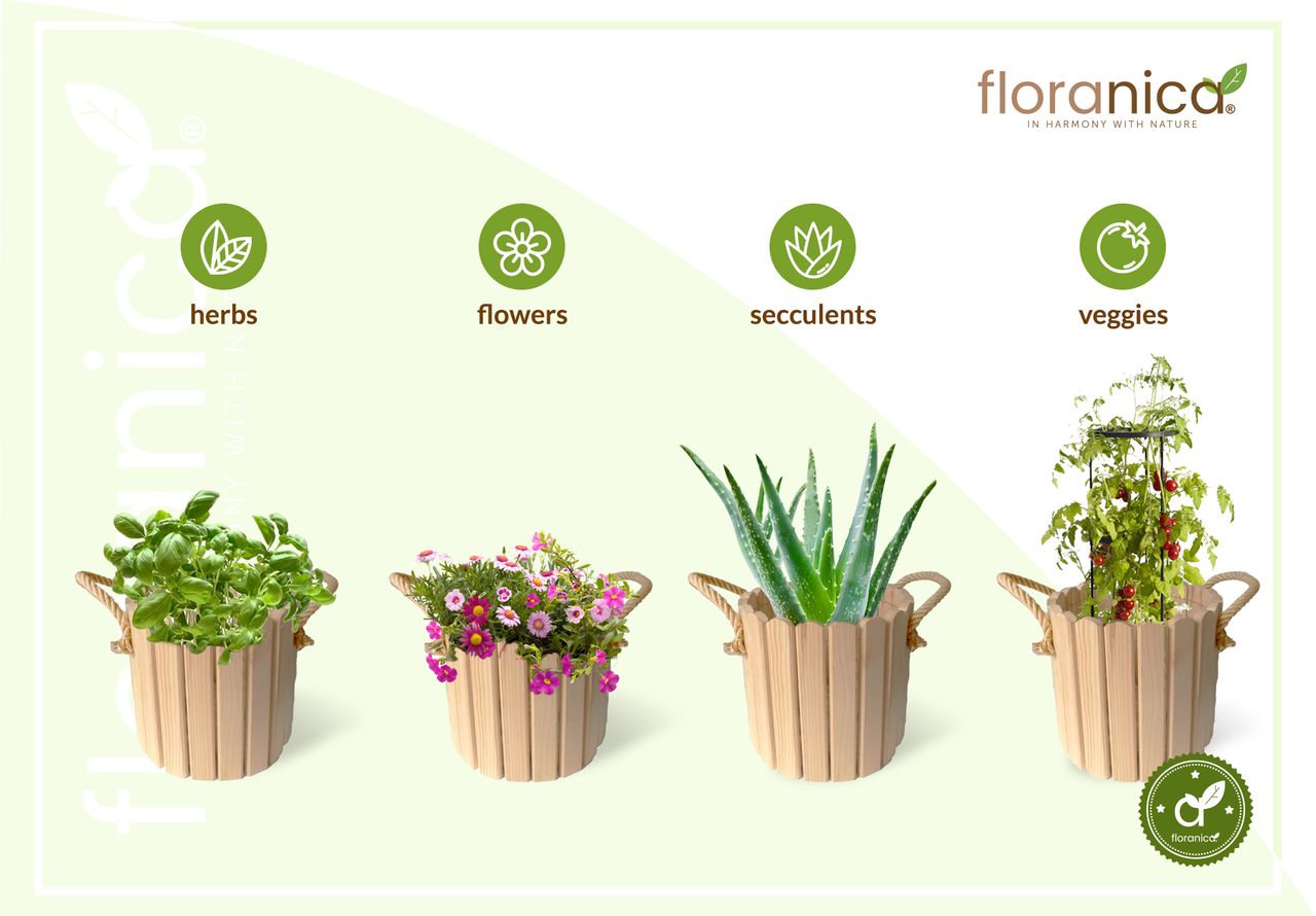 Pemicont Floranica Runder Blumentopf aus Holz 33x20cm Nicht imprägnierte Kiefer Schutzhülle für Kräuter Blumen Dekoration für Haus und Garten Truhe Für den Innen- und Außenbereich EU-Produkt