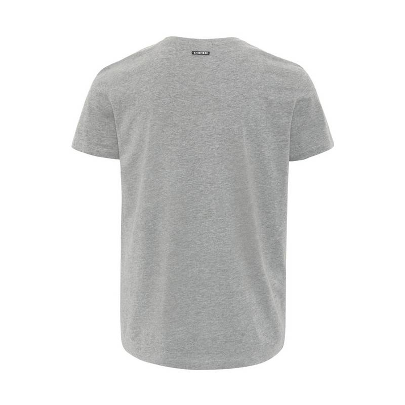 Chiemsee T-Shirt T-Shirt Herren