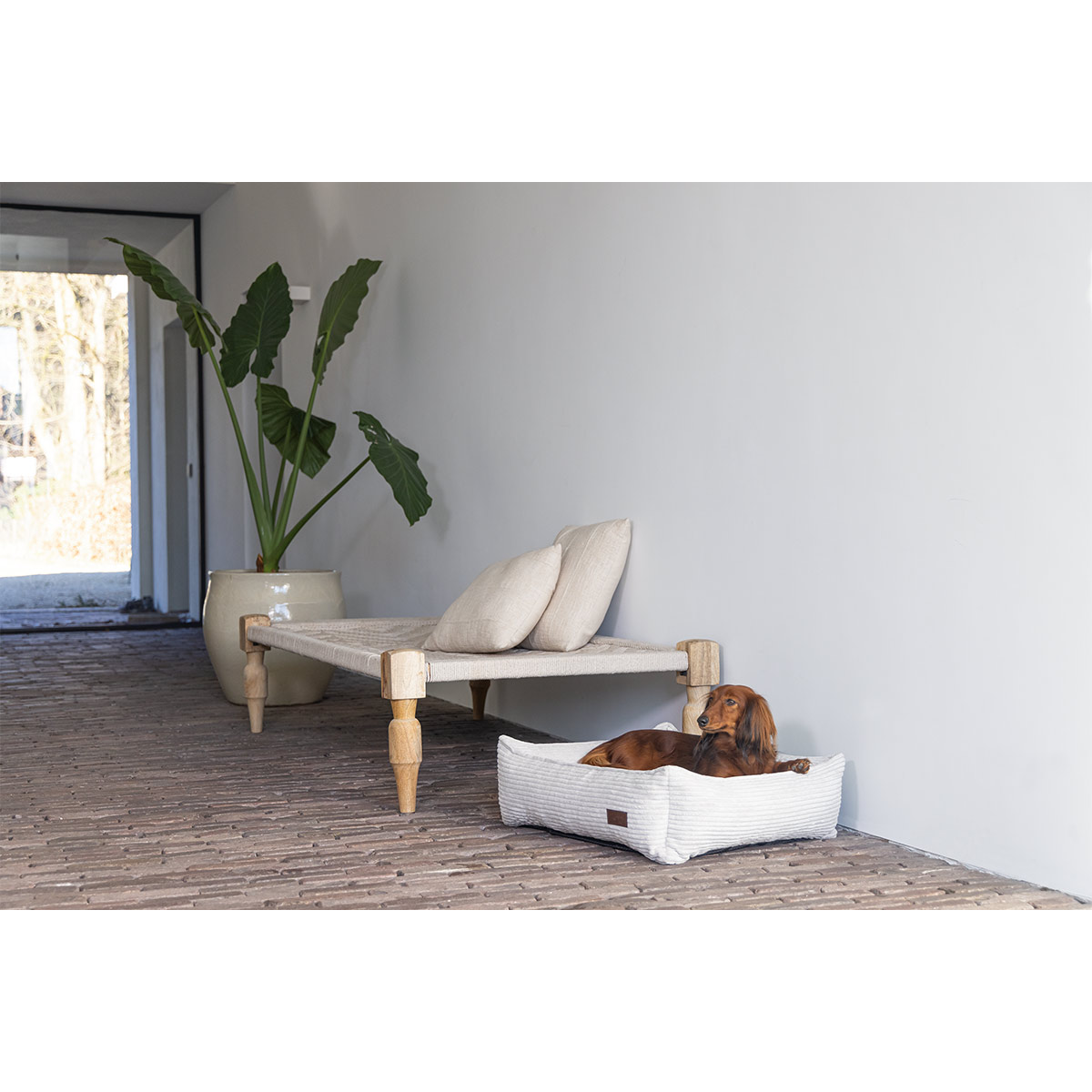 Designed by Lotte Hundebett Ribbed Hellgrau kaufen bei ZooRoyal