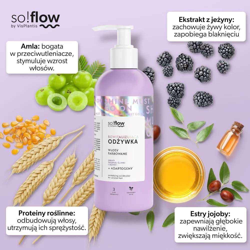 So!Flow revitalizirajući regenerator za farbanu kosu