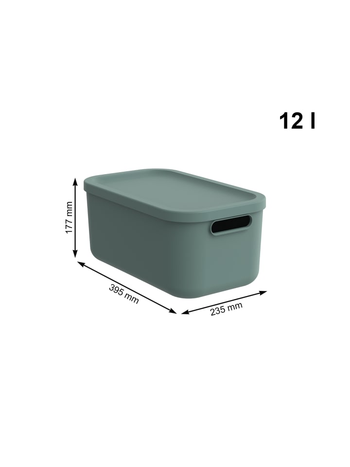 Rotho Albula Light Kiste 12l mit Deckel in Mistletoe green günstig kaufen onesize