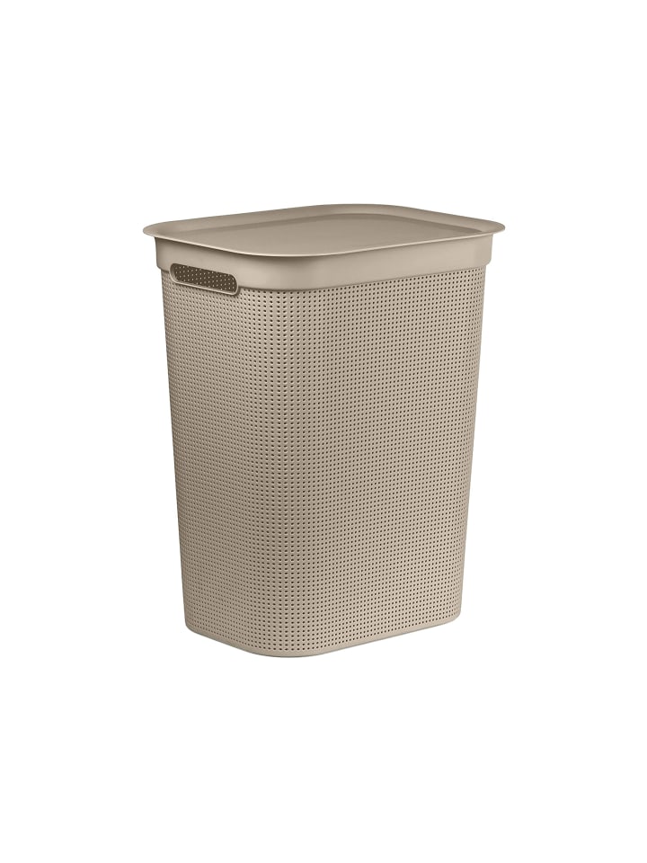 Rotho Brisen Wäschebox 50l mit Deckel und Griffe in Cappuccino günstig kaufen onesize