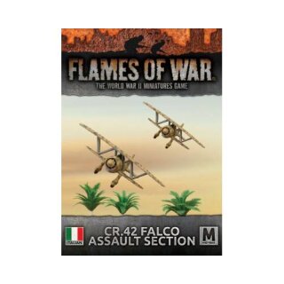 Italian Falco CR42 Flight