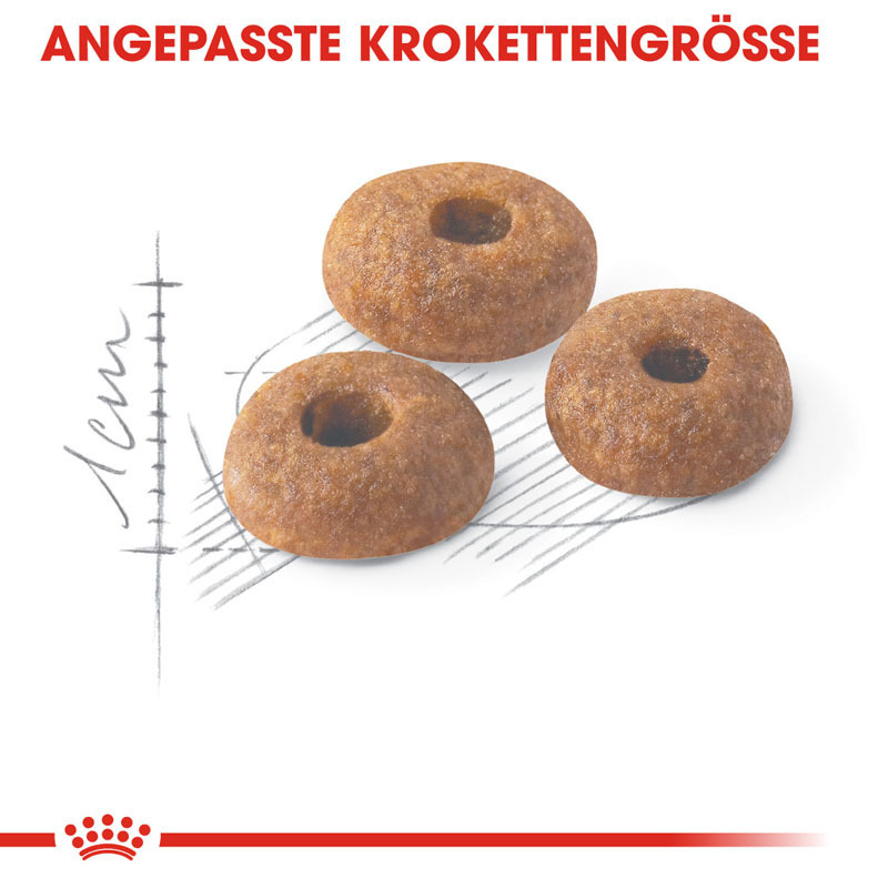 ROYAL CANIN Trockenfutter ROYAL CANIN Fit 32 4 kg