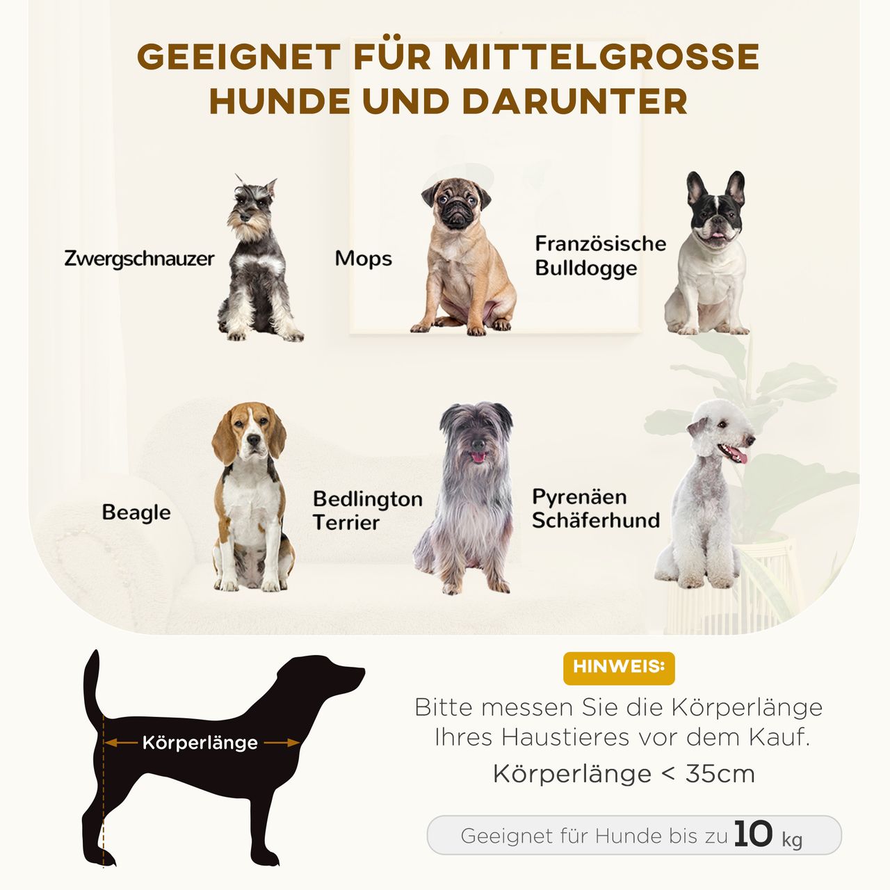 PawHut Hundesofa, Haustiersofa mit Samtoptik, Katzensofa mit Kissen, Holzbeine