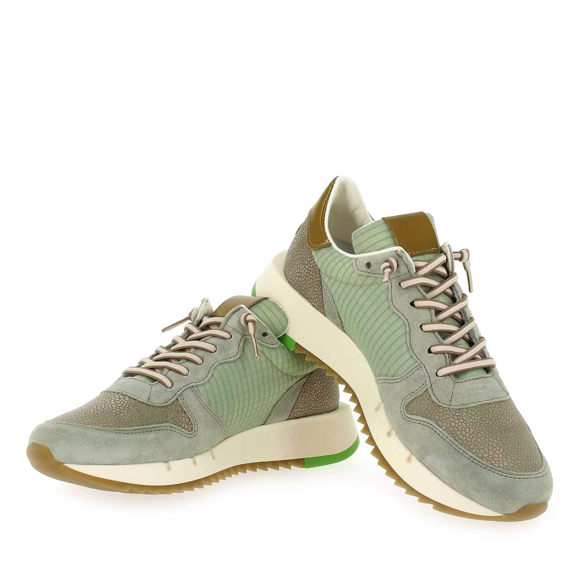 Cetti  C1301 SRA E23 - Vert sauge Taupe