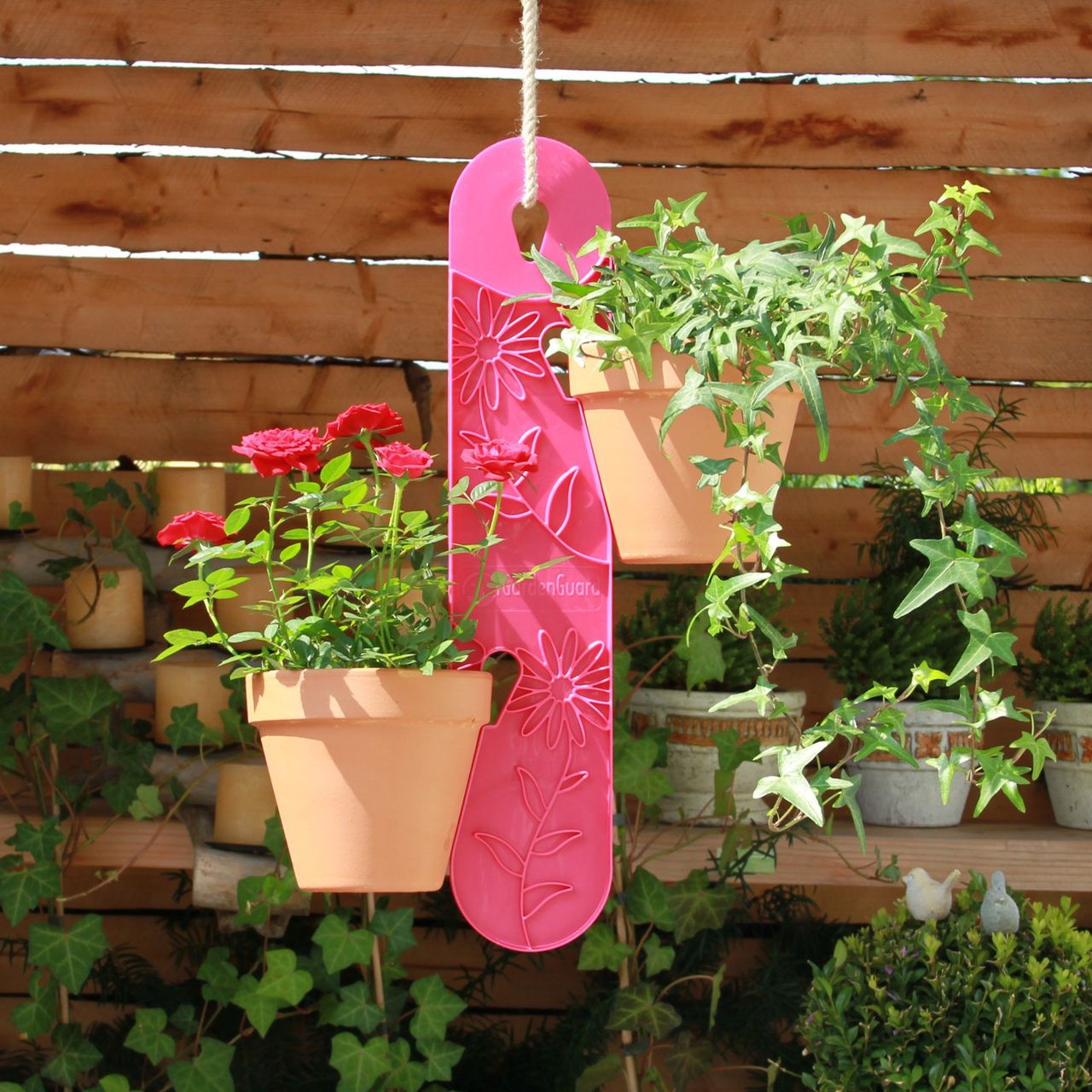 Gardenguard Blumenampel, Himbeer