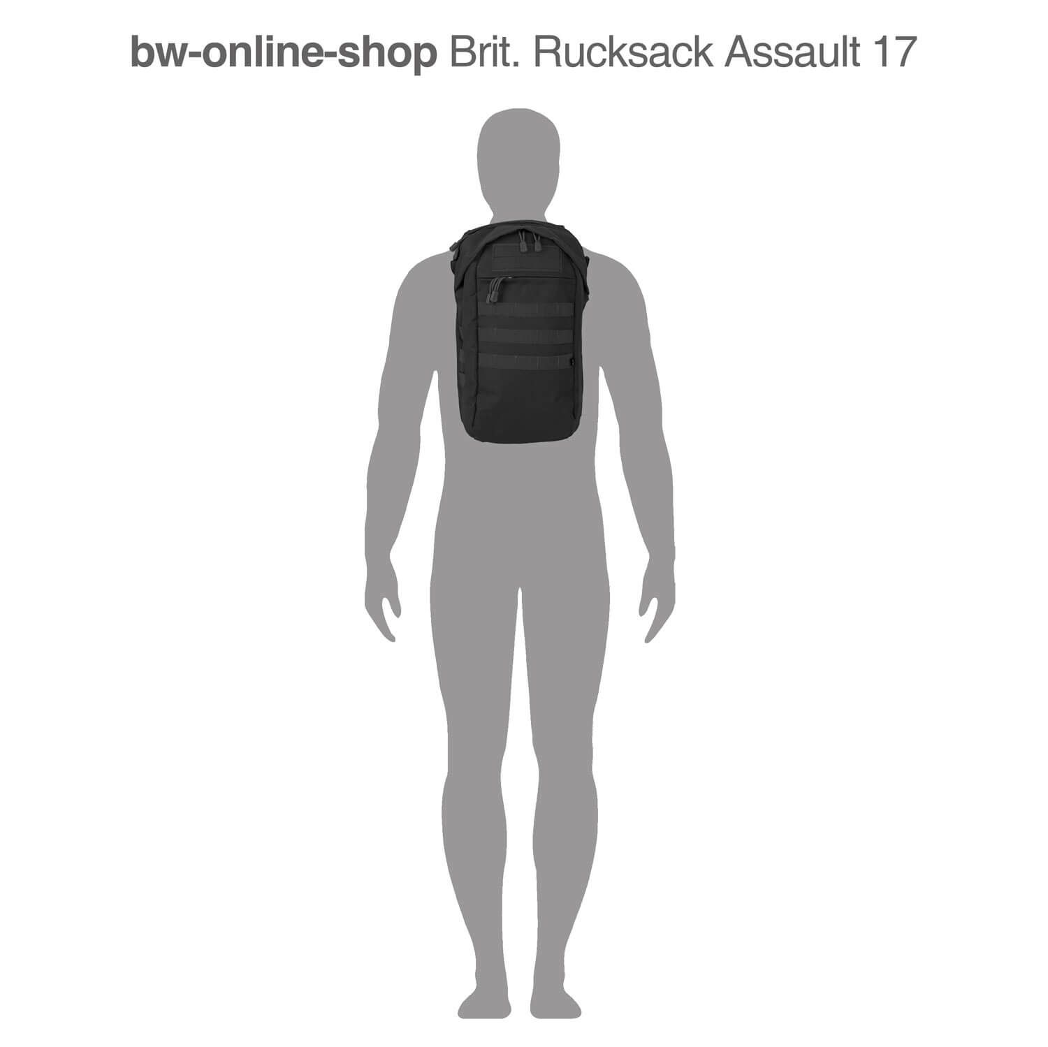 Brit. Rucksack Assault 17