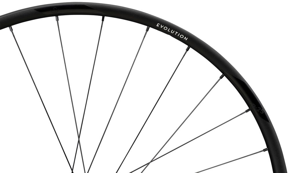 Newmen Evolution SL X.R.25 622 SP CL FADE Vorderrad kaufen | Bike-Discount