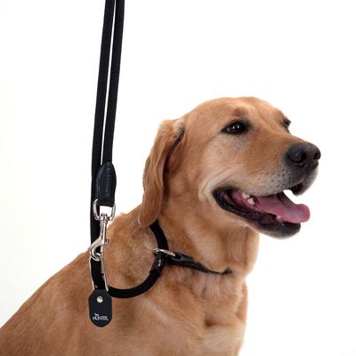 HUNTER Retriever-Führleine Freestyle
