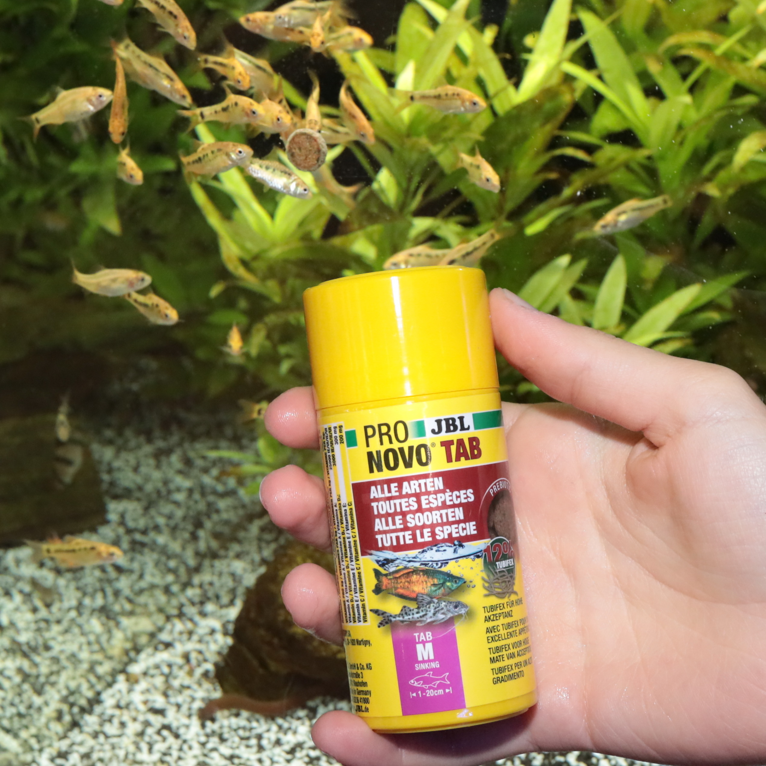 JBL Hauptfutter JBL PRONOVO Futtertabletten für alle Aquarienfische M 100 ml
