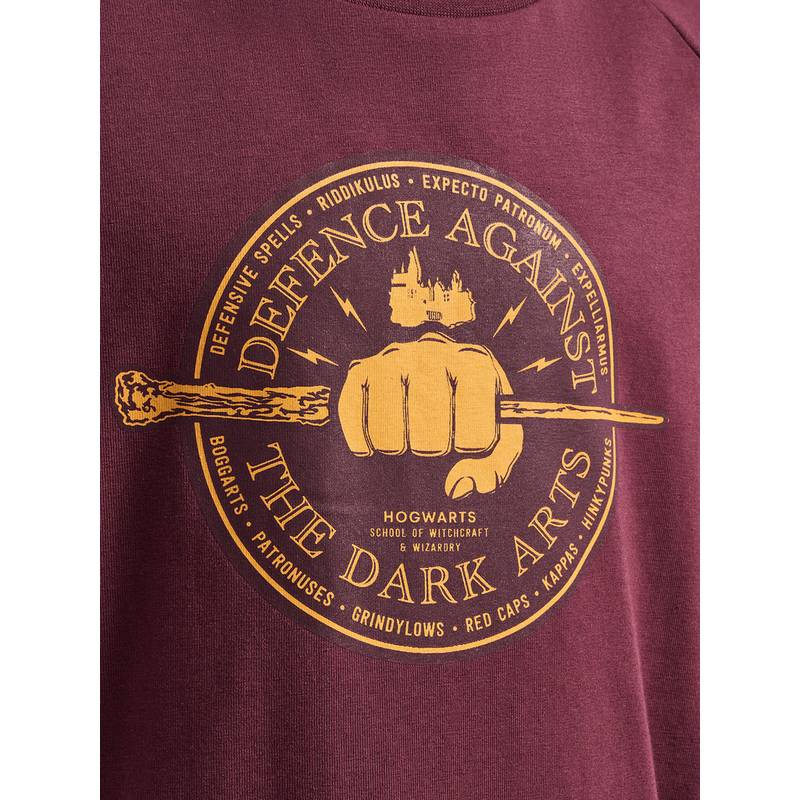 hummel hmlHARRY POTTER T-SHIRT LS T-Shirt Kinder