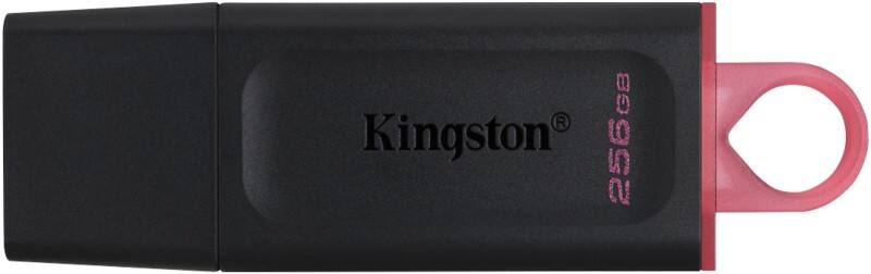 Kingston USB-Stick 256 GB Schwarz, Rosa