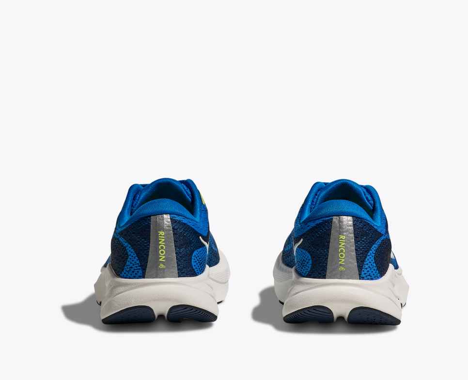 Rincon 4 Electric Cobalt / Varsity Navy
