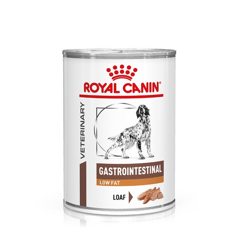 Royal Canin Veterinary Canine Gastrointestinal Low Fat | bitiba %