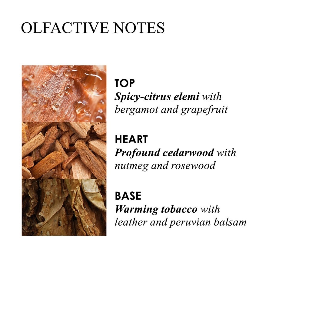 Tobacco Absolute