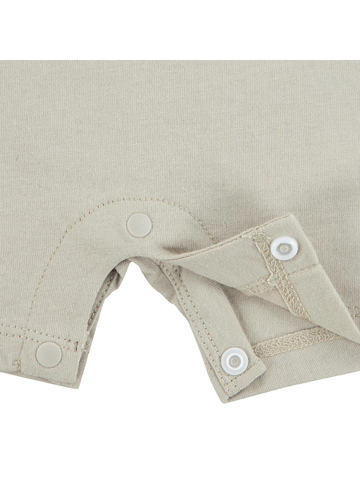 Converse Jumper in Beige günstig kaufen