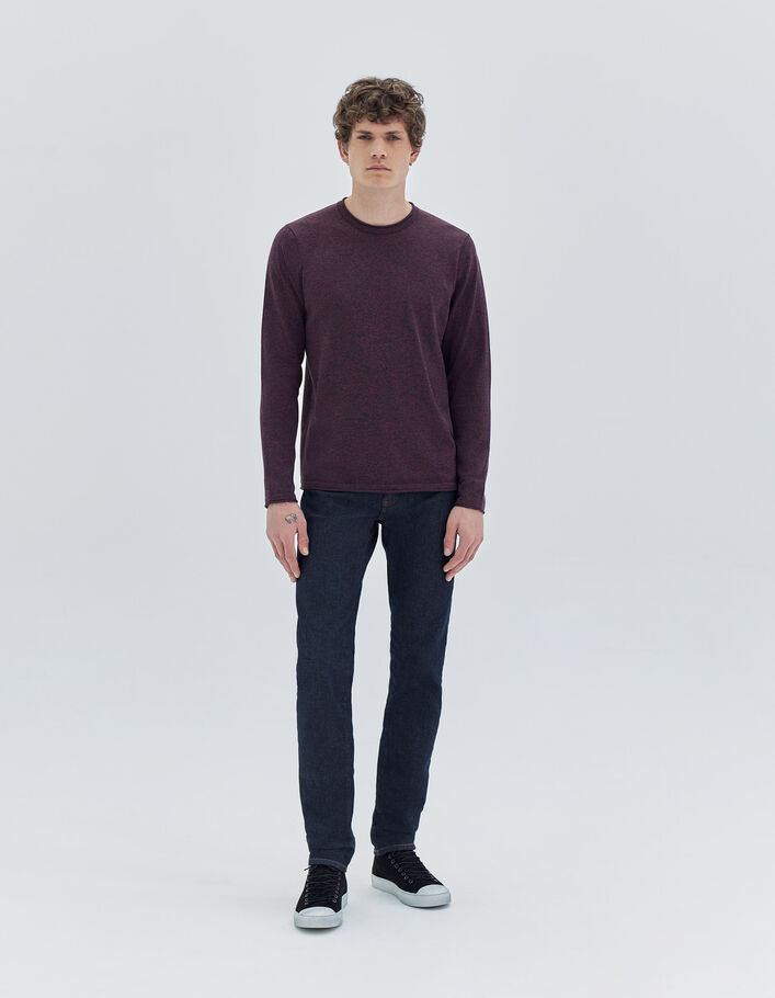 Pull burgundy tricot mouliné bicolore Homme