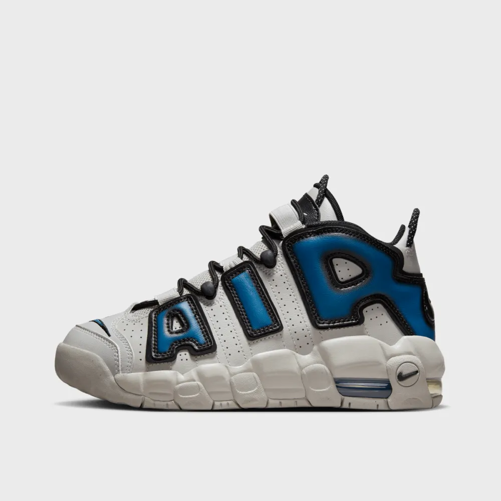 Nike Air More Uptempo FJ1387-001 / grau