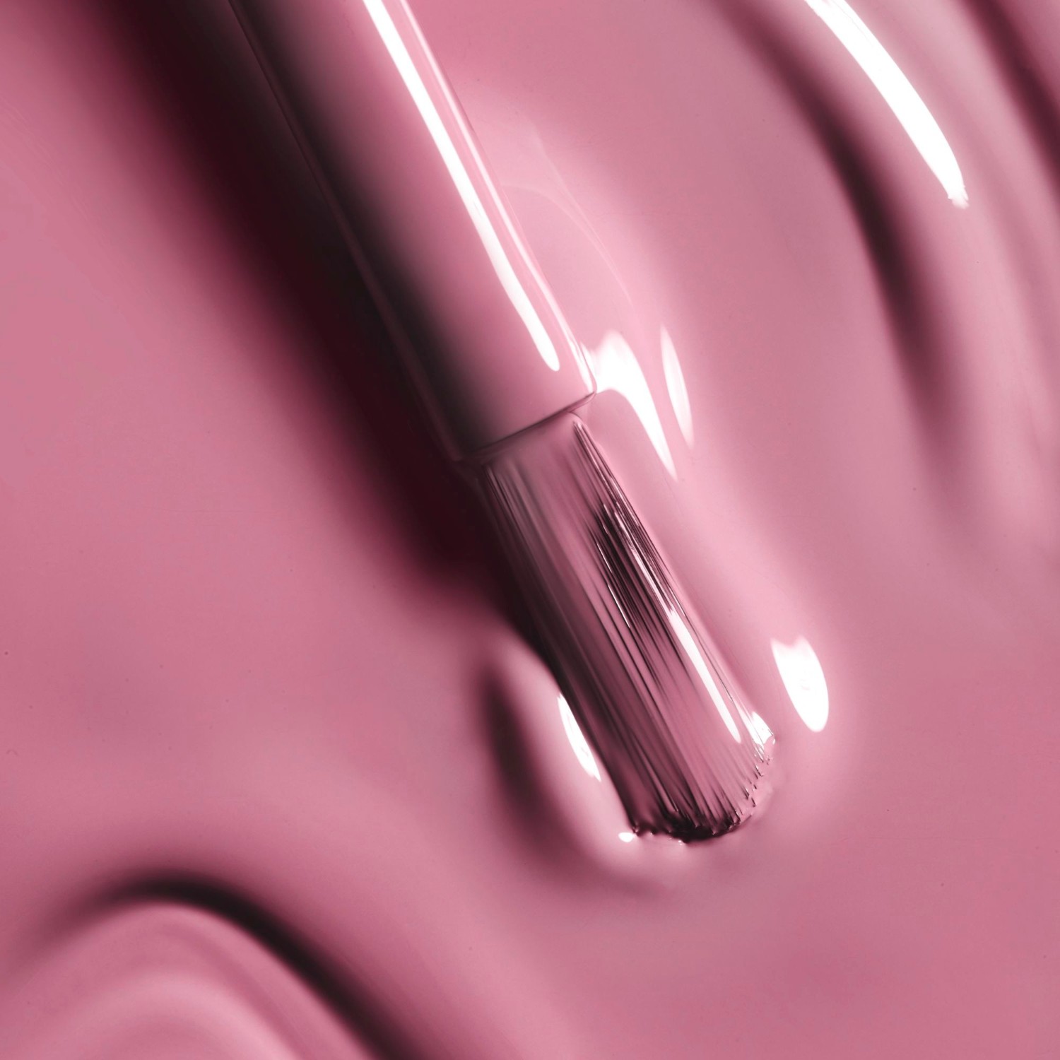 LE VERNIS