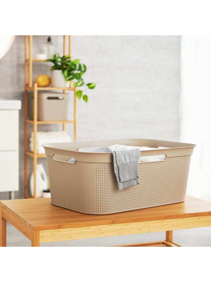 Rotho Brisen Wäschekiste 40l mit 4 Griffen in Cappuccino günstig kaufen onesize
