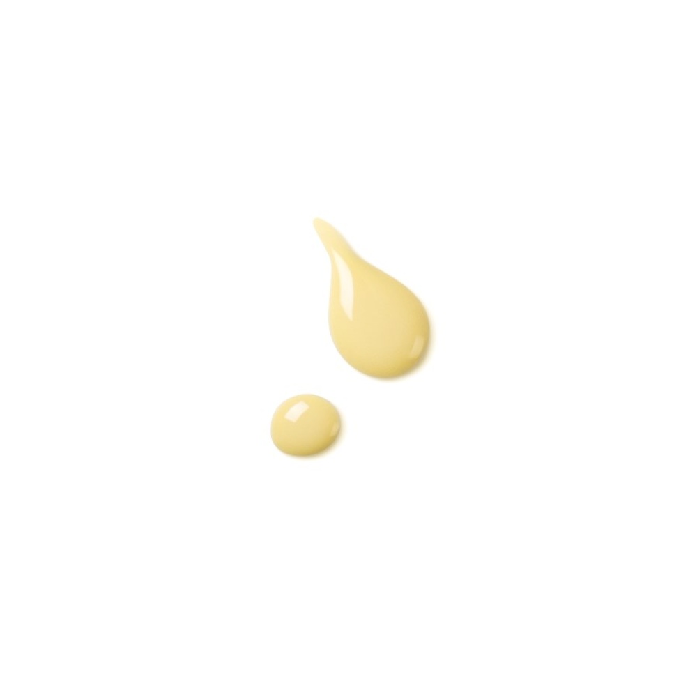 Dr. Hauschka Fluide de jour revitalisant Fluide visage